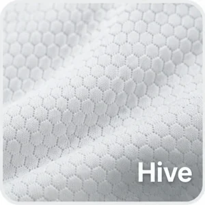 HIVE